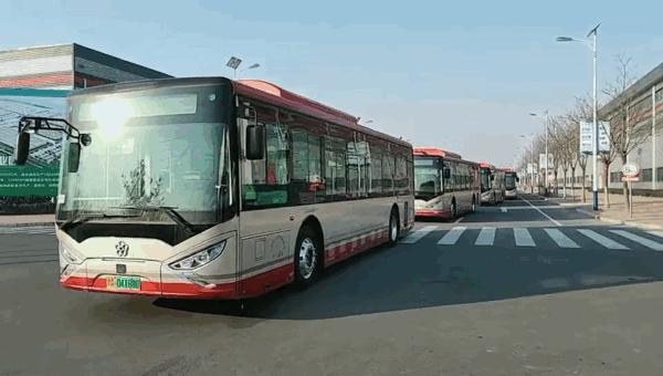 天津，温柔与坚韧交织的城市之旅