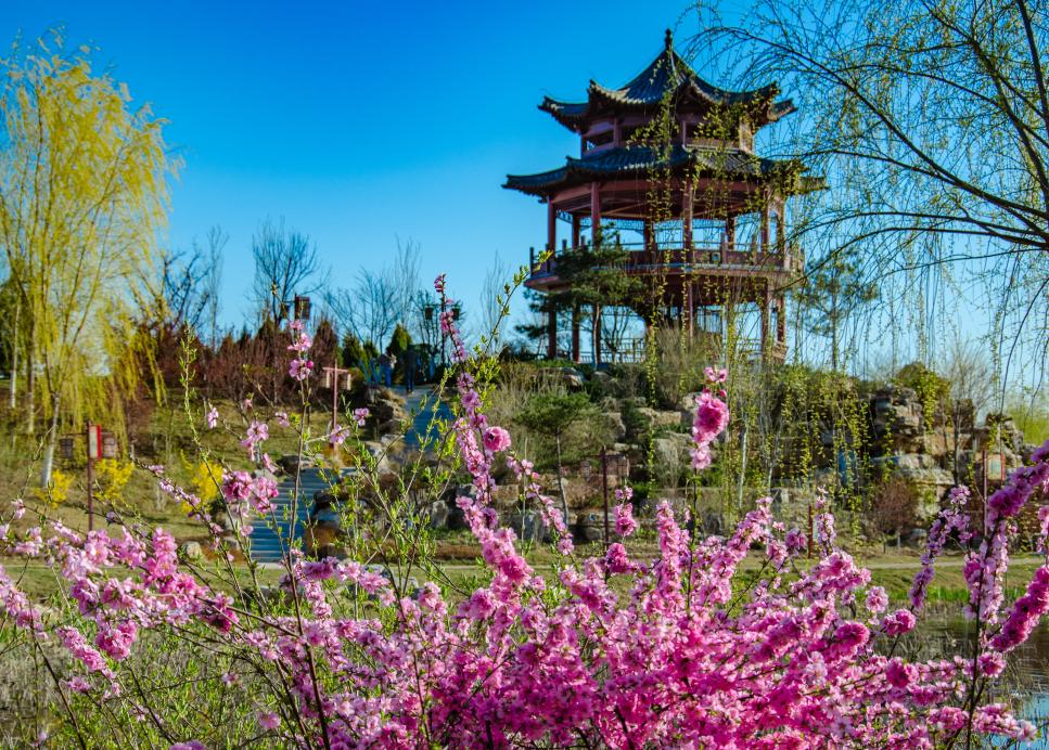 秦皇岛盛典，嘉宾云集，观众热情如火